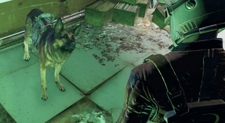 Fallout 4: Dogmeat Companion and Finding Dog Armor