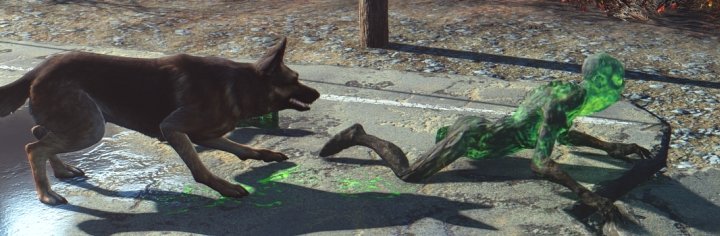 Dogmeat can take off limbs. Good dog.