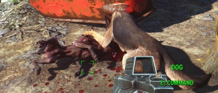 Dogmeat killing a mongrel