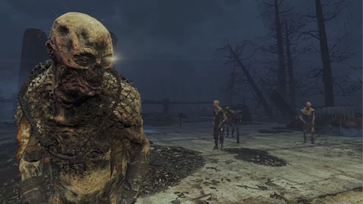 Ghoul in Far Harbor