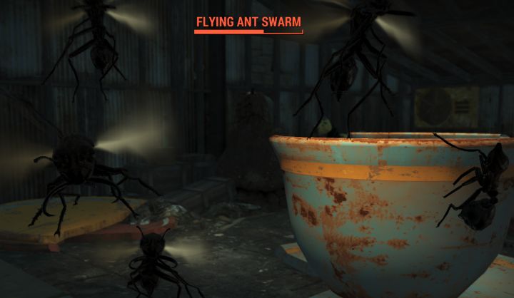 Flying Ants in Nuka World