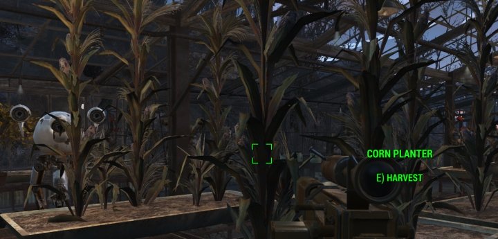 Corn in Fallout 4